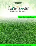 Farm Seeds Grass (Bermuda) 1 Kg Seed