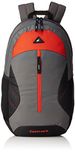 Fastrack 20.55 Ltrs Grey School Backpack (A0692NGY01)