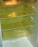 Yellow Weaves Refrigerator Drawer Mats / Fridge Mats Pack Of 6 Pcs (Orange)- 17 Inches X 12 Inches