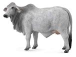 Collecta Brahman Cow - Multi Color