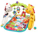 Fisher Price Newborn to Toddler Play Gym, Multi Color