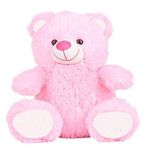 BTC Soft 2 Feet Small Teddy Bear - Blue