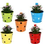 TrustBasket Set of 5 - Single Pot Railing Planter - (Red,Yellow,Blue,Orange,Green) Plant Container(Metal, External Height - 15 cm)