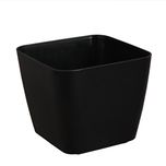 Divine Tree Black Color Self Watering Planter Pot for Indoor Flowering Plants