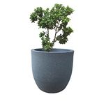 YUCCABE FOXB P cup Grey 15 Inches Planter