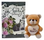 Natali Sorry-Teddy And Greeting Card Gift Combo