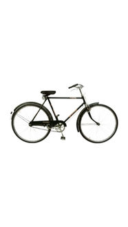 hero blossam 16t bicycle