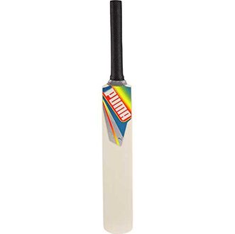 puma evospeed gtr cricket bat