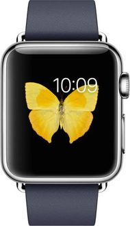Apple Watch Stainless Steel Case with Modern Buckle - 38mm 