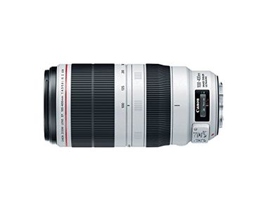 Canon EF100-400mm f/4.5-5.6L IS II USM Telephoto Zoom Lens