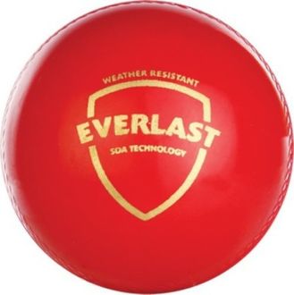 SG Everlast Cricket Ball (Pack of 2)