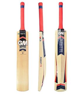 GM Purist F2 Striker Kashmir Willow Cricket Bat (Size 5)
