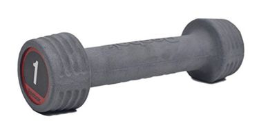 reebok dumbbells 4kg