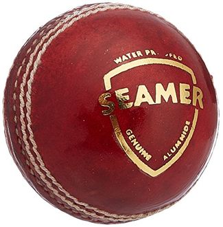 SG Seamer Red Leather Cricket Ball