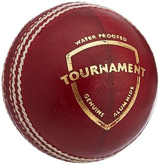 SG Tournament Red Leather Cricket Ball