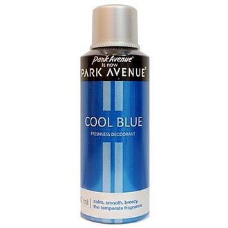 Park Avenue Cool Blue Deodorant