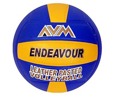 Avm Endaveour Volley Ball