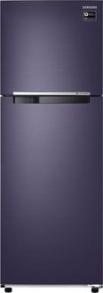 Samsung RT30M3043UT 275 L 3 Star Inverter Frost Free Double Door Refrigerator
