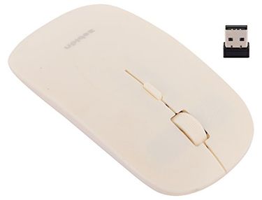 Zebion Glider Bliss Wireless Mouse