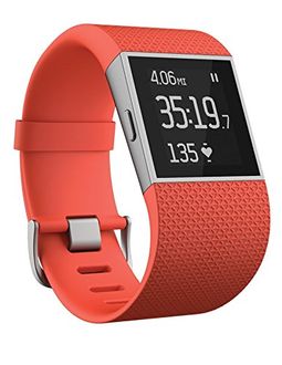 Fitbit FB501BUS Fitbit Surge Ultimate Fitness Watch